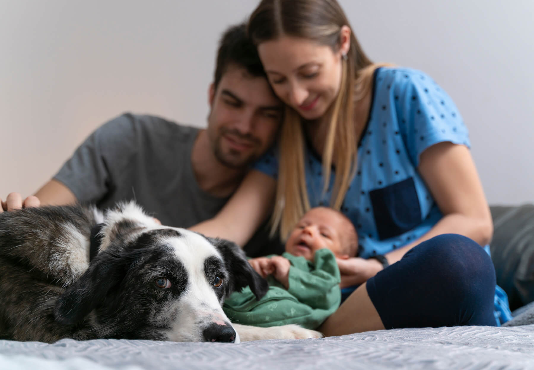 Bringing Home Baby: A Guide to Integraing Pets with New Arrivals