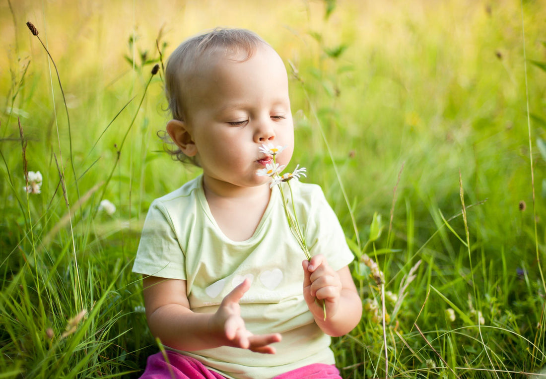 Fun ways to Stimulate your Baby's Senses and Why You Should Be Doing This!