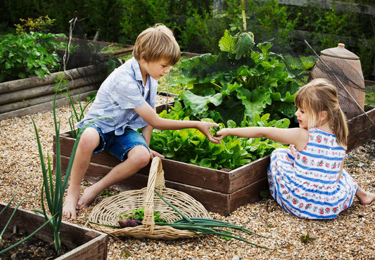 Eco Friendly Parenting: Tips for a Sustainable Lifestyle with Kids