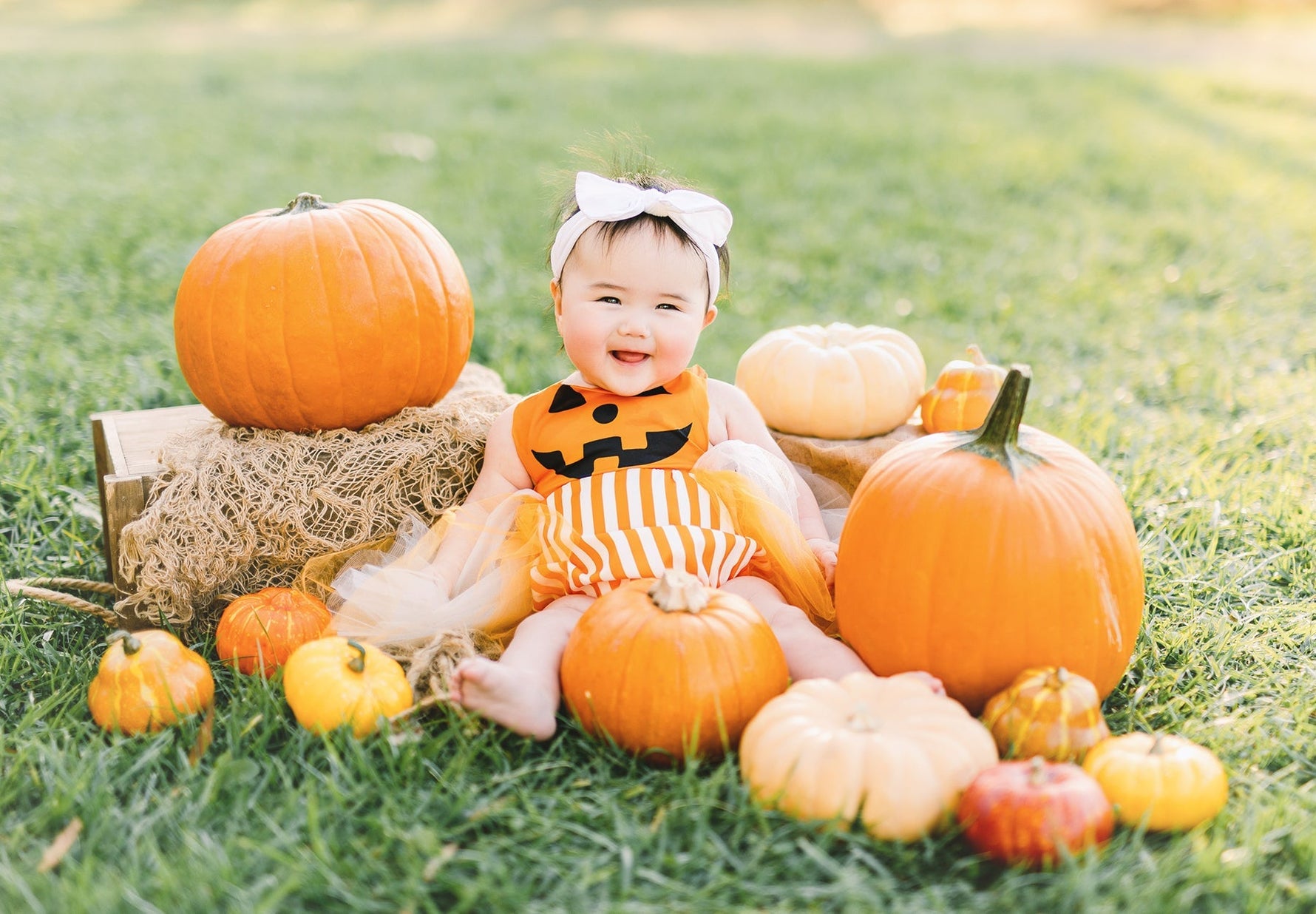 Best Places to Travel With Babies and Toddlers for Safe Halloween Photo Opportunities